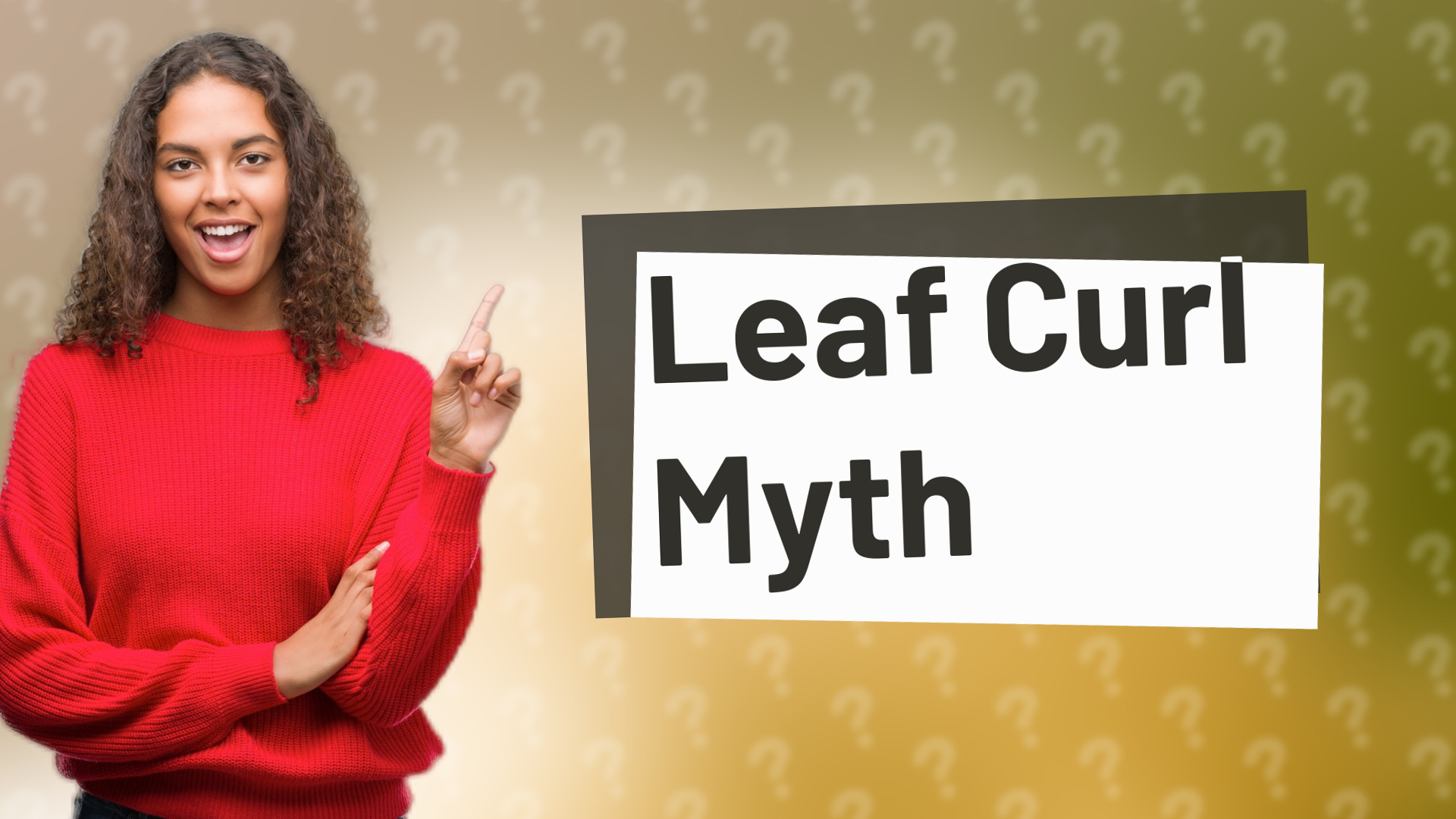 Leaf Curl Myth