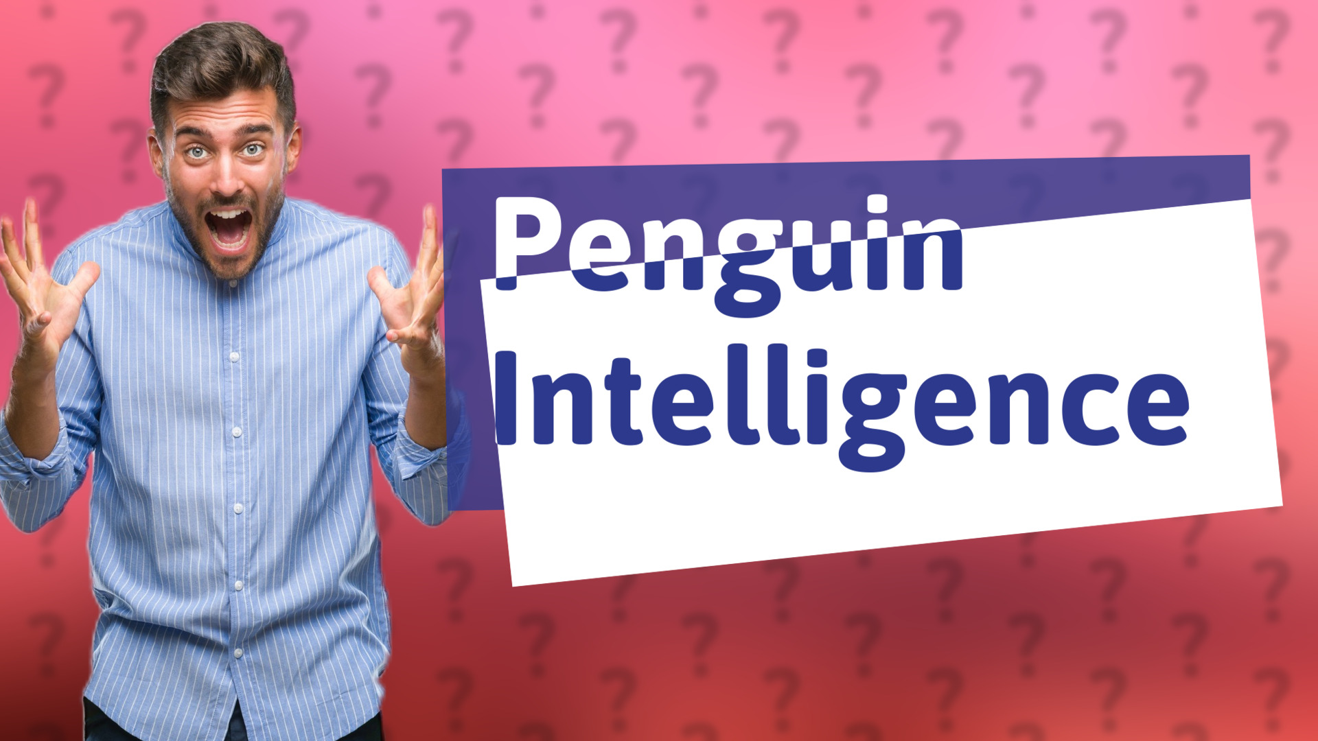Penguin Intelligence