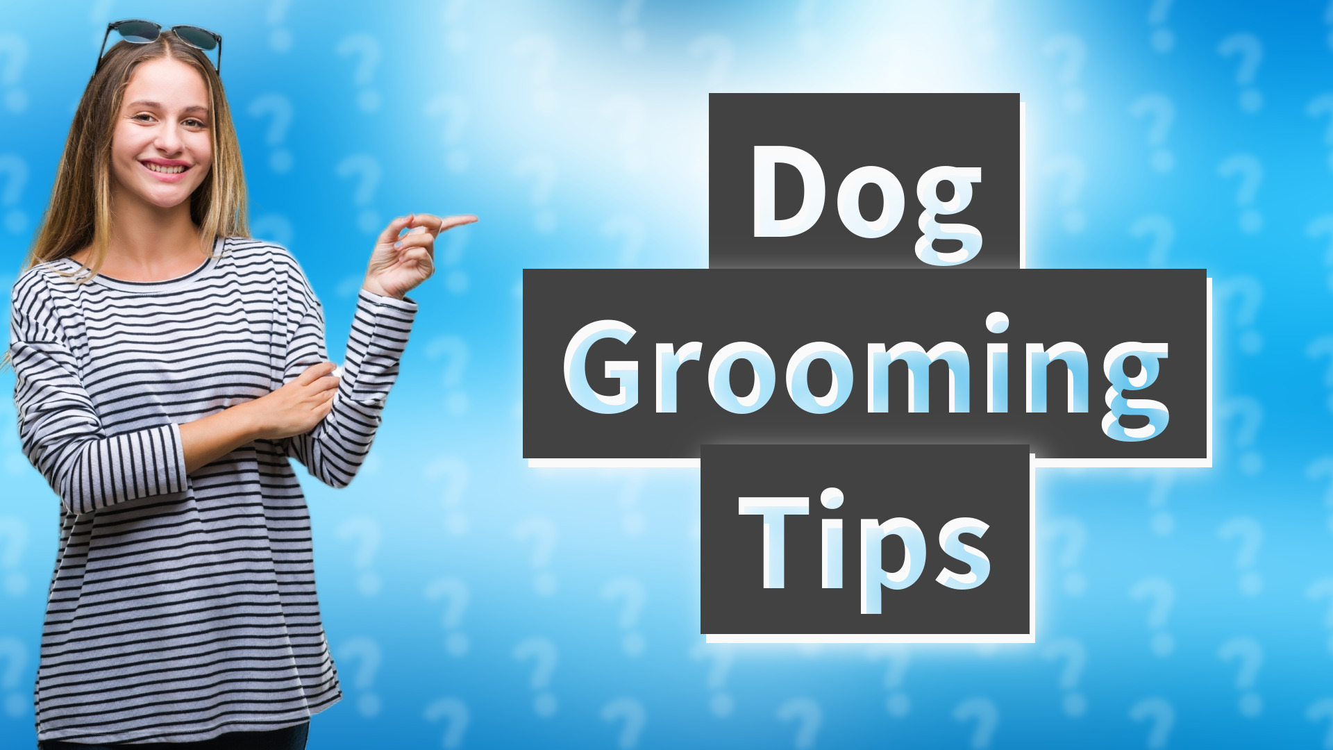 Dog Grooming Tips