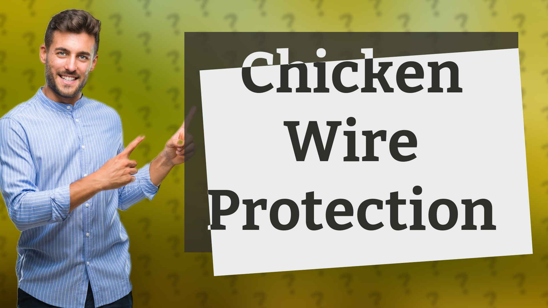 Chicken Wire Protection