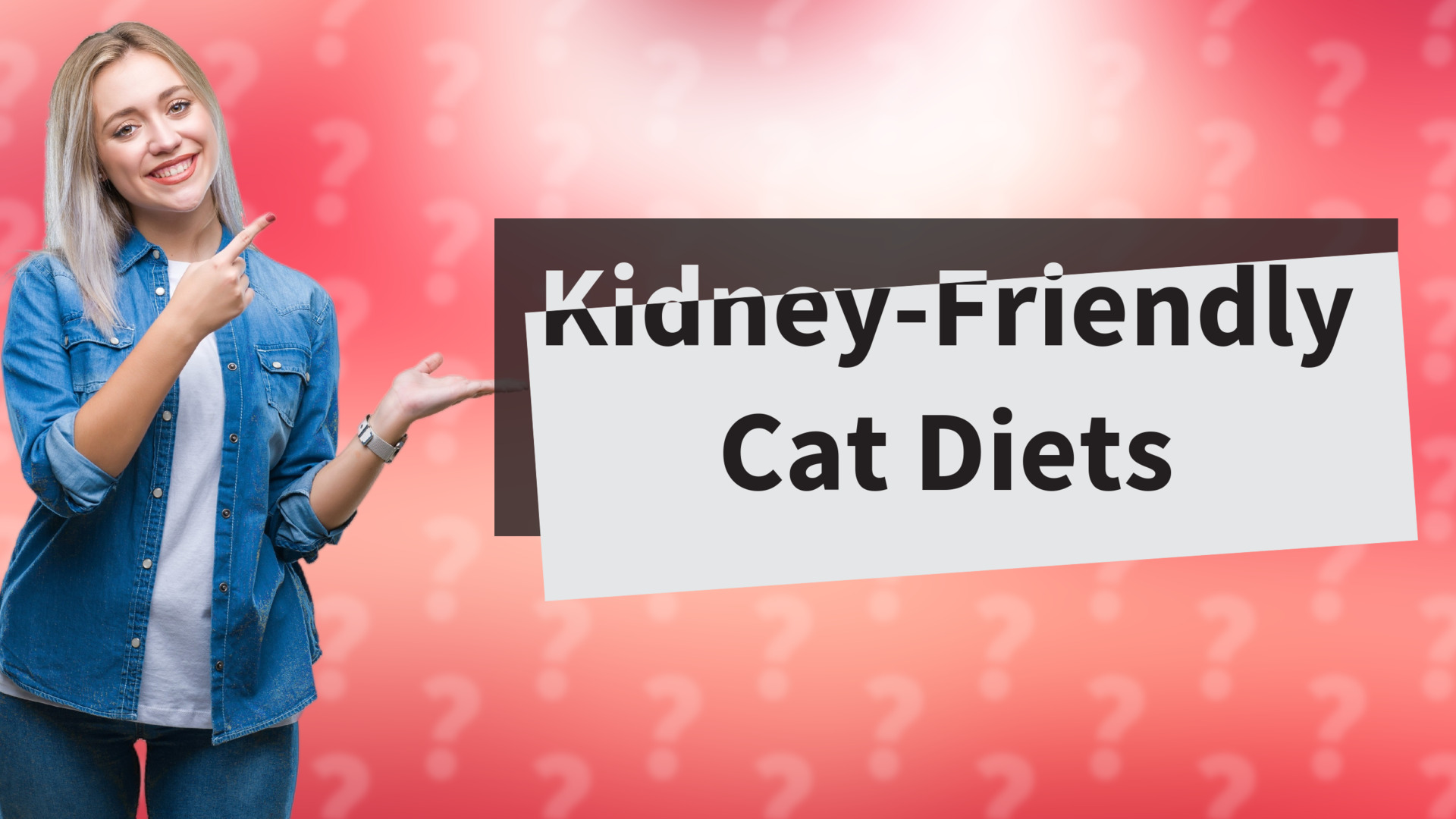 Kidney-Friendly Cat Diets