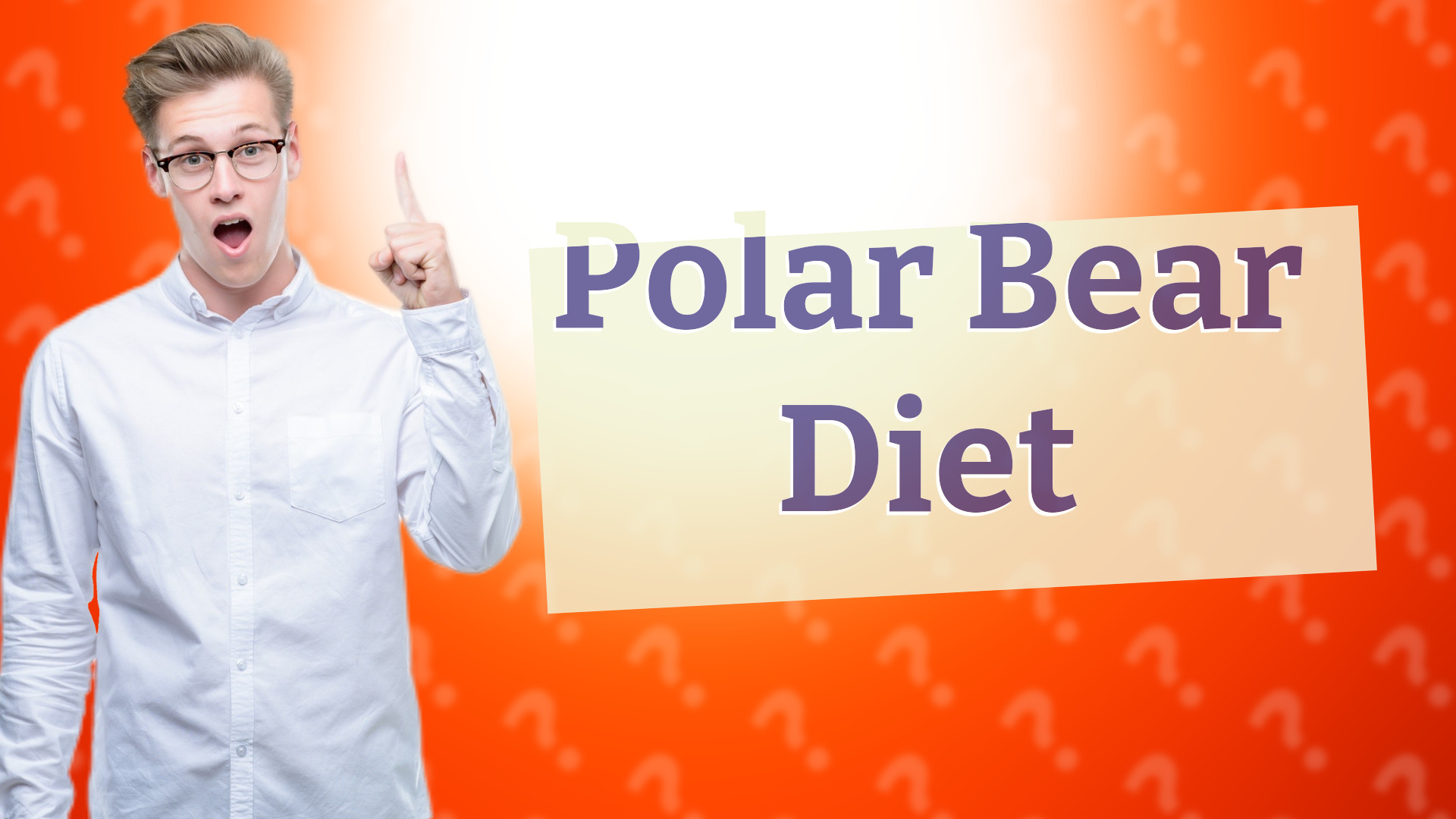 Polar Bear Diet
