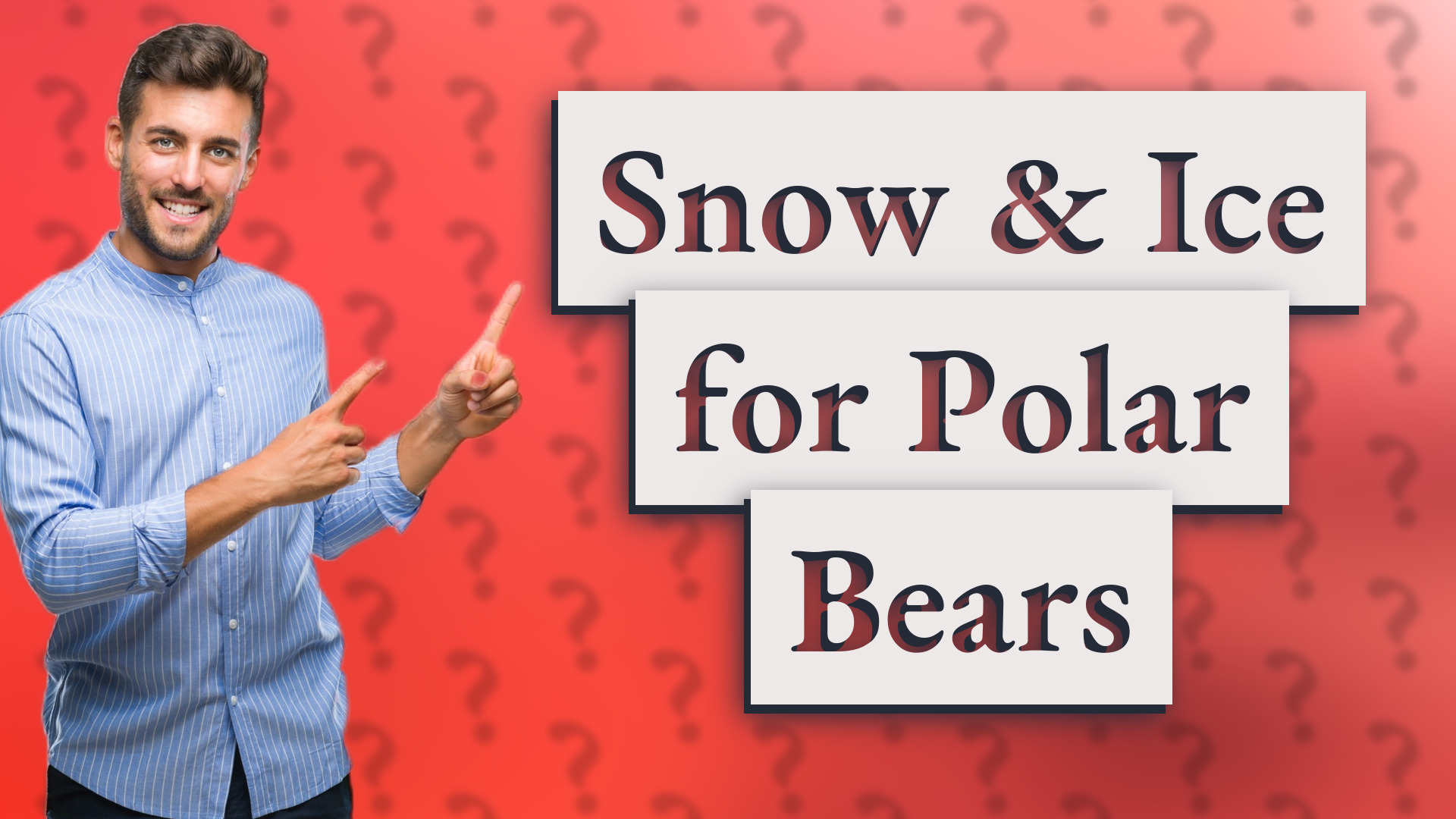 Snow & Ice for Polar Bears