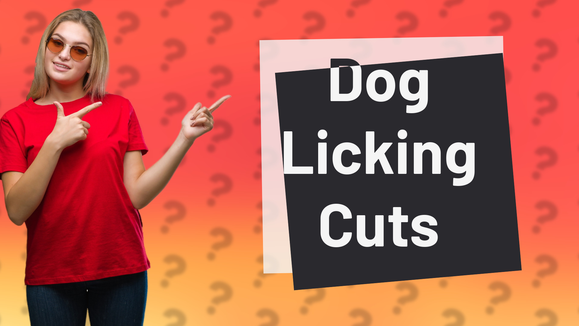 Dog Licking Cuts