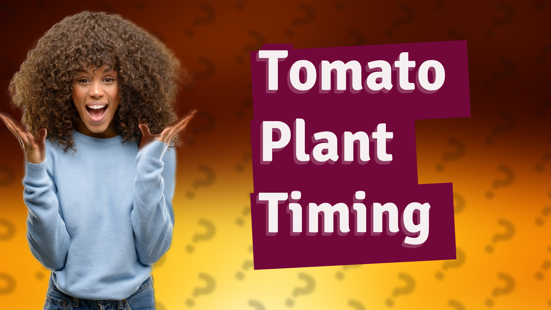 Tomato Plant Timing