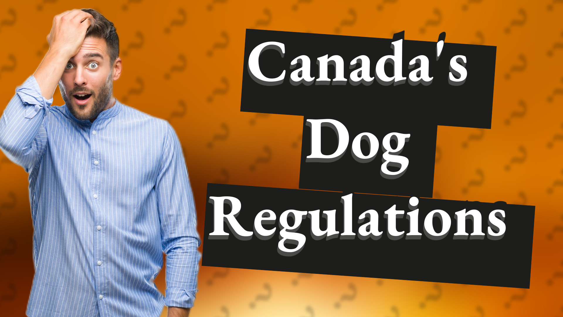 Canada's Dog Regulations