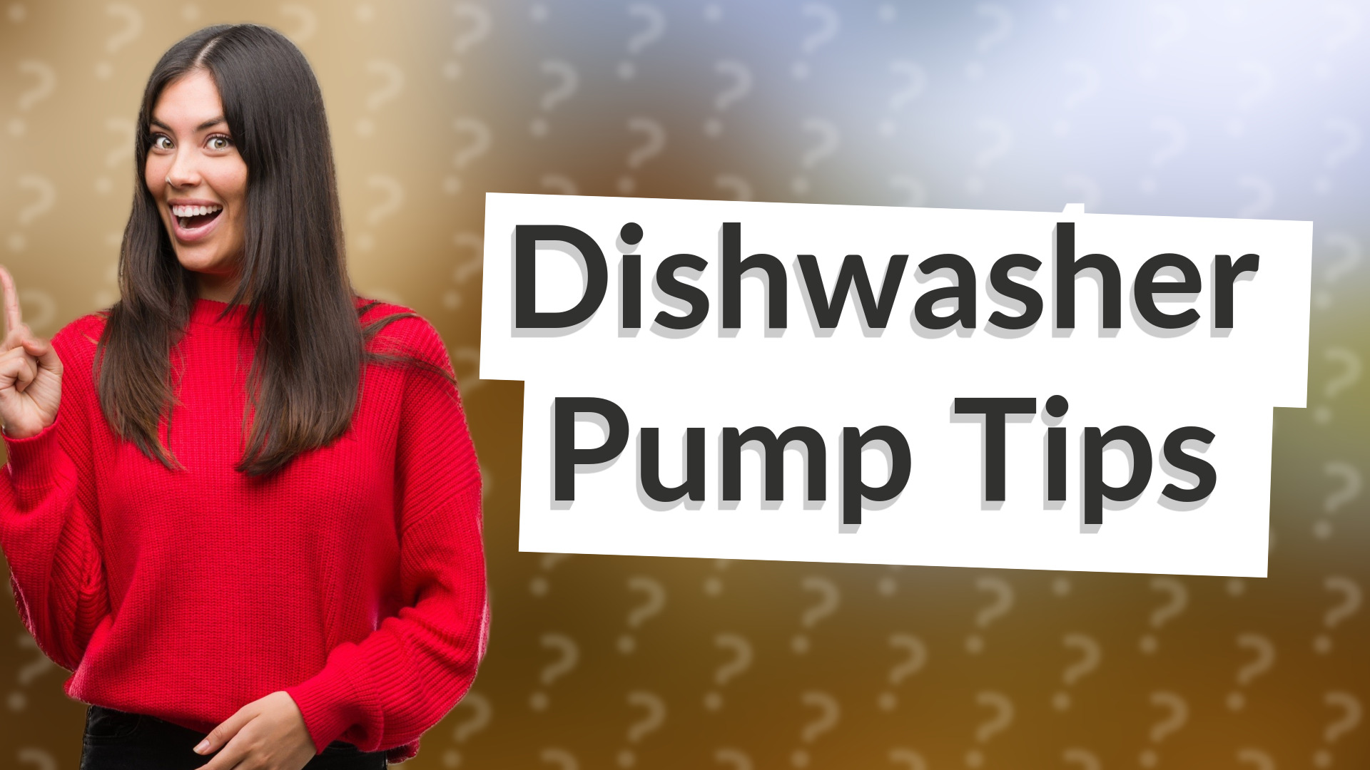 Dishwasher Pump Tips