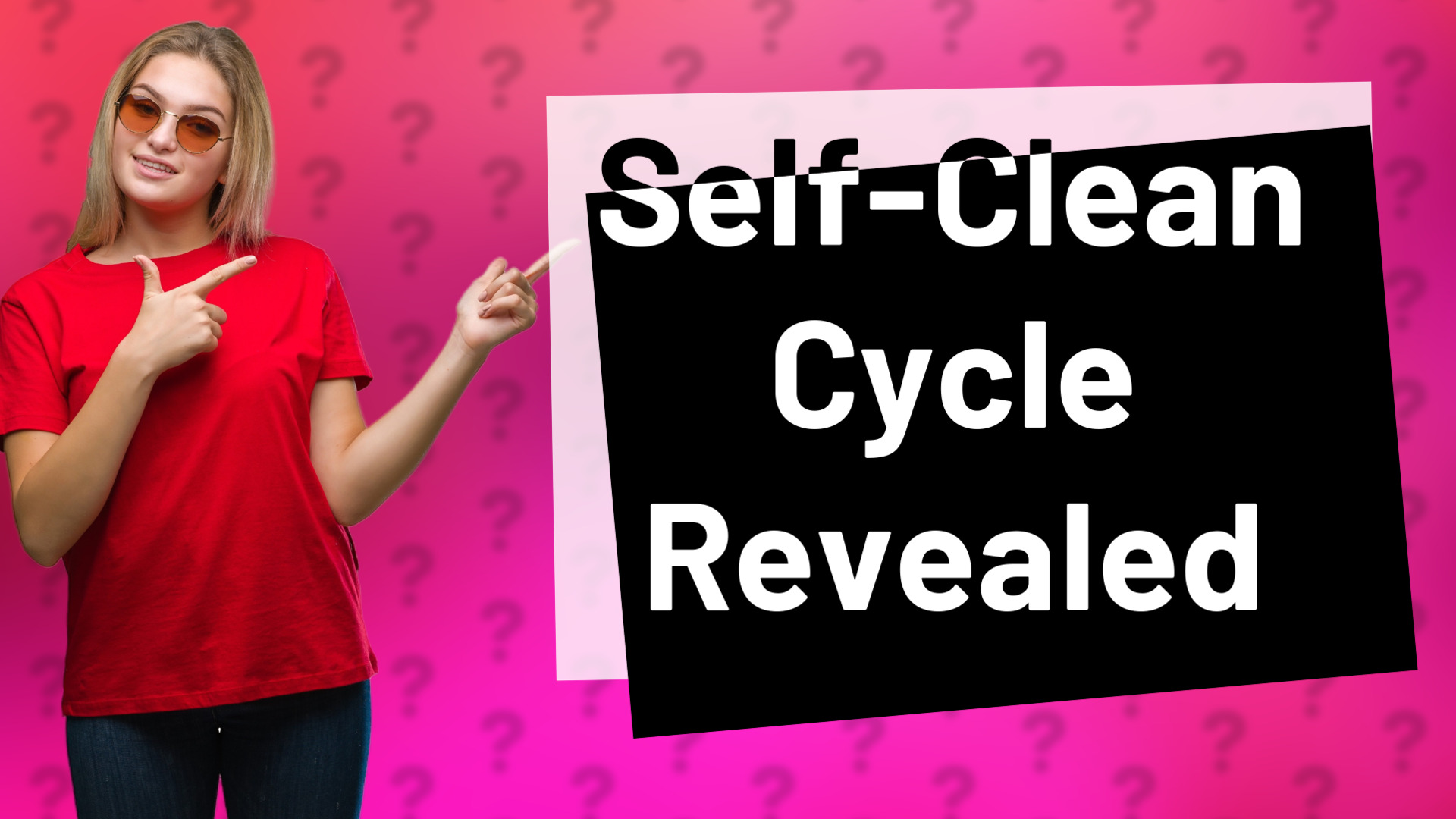 Self-Clean Cycle Revealed