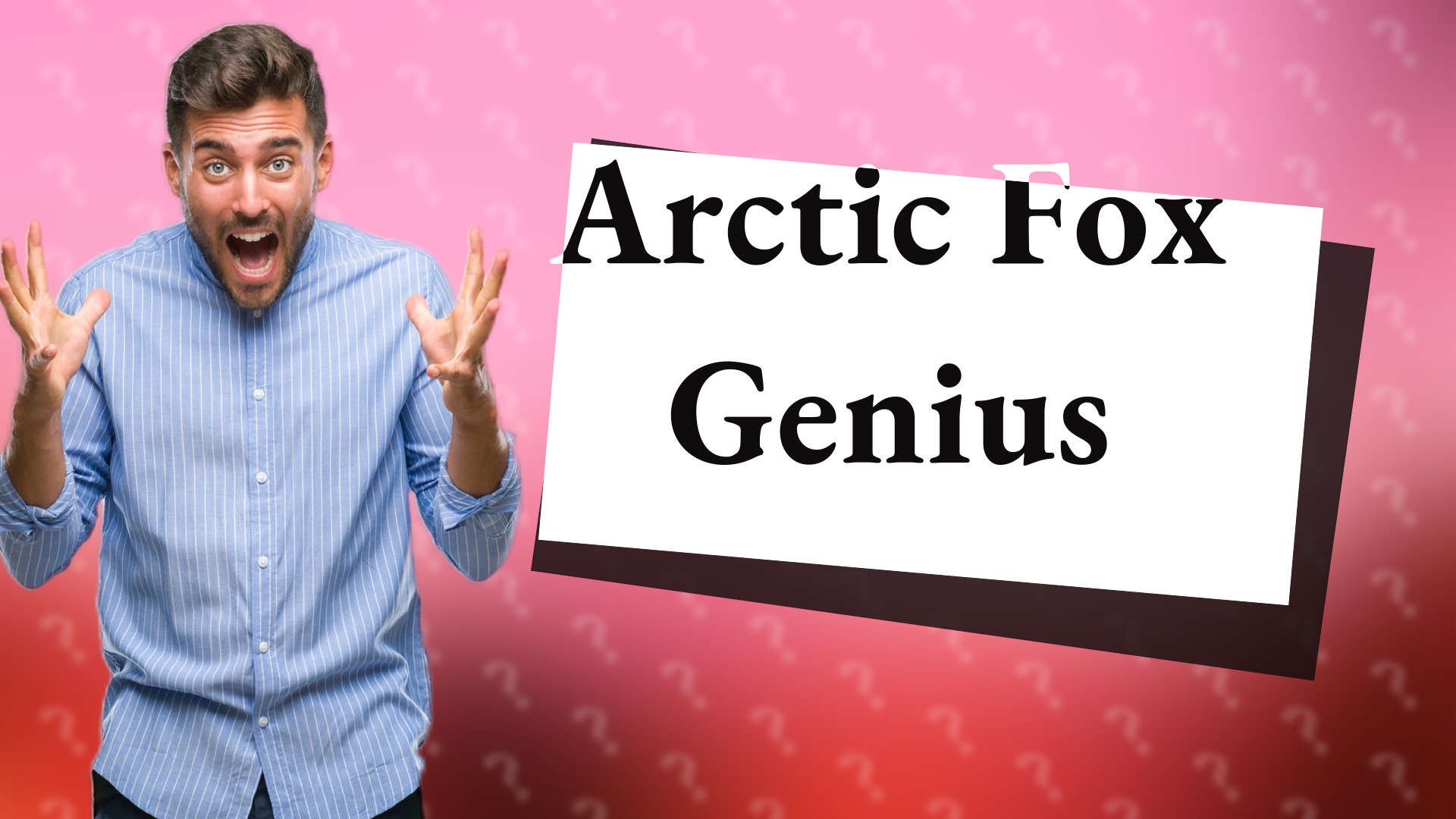 Arctic Fox Genius