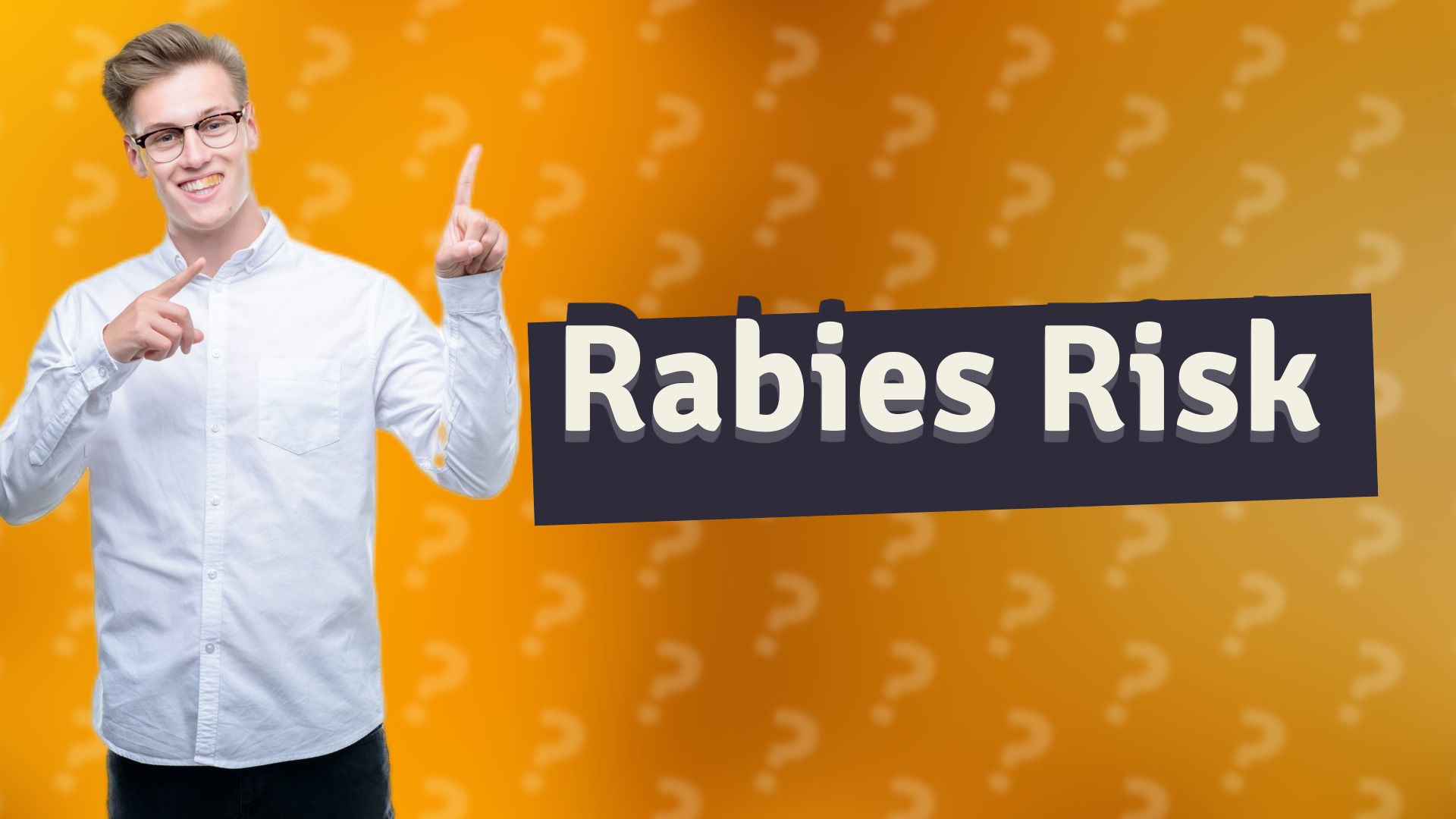 Rabies Risk