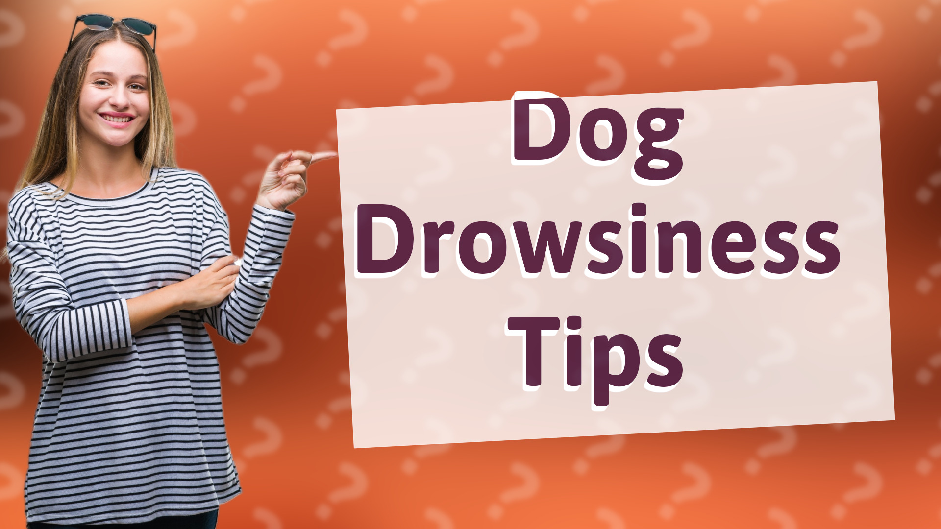 Dog Drowsiness Tips
