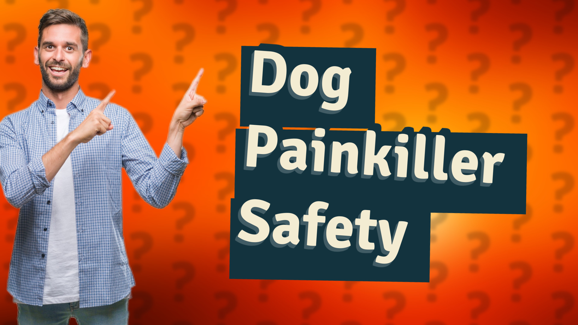 Dog Painkiller Safety