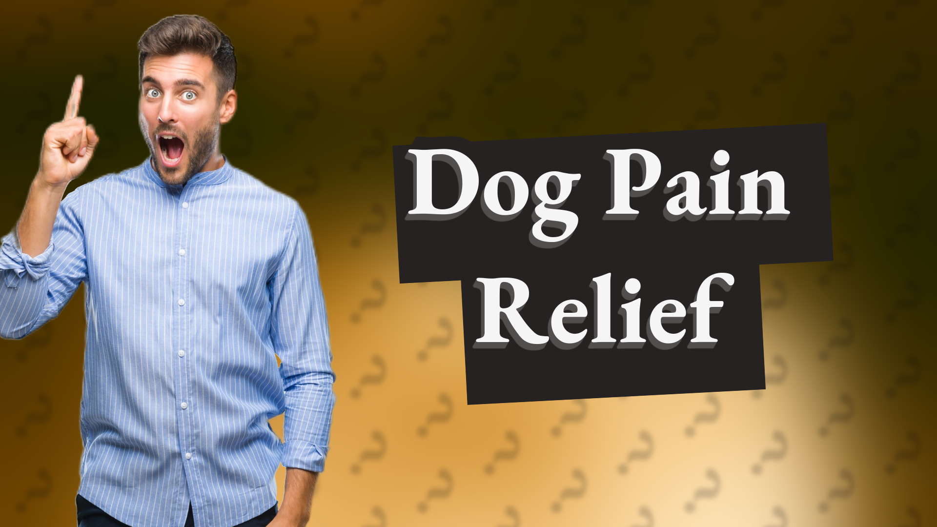 Dog Pain Relief
