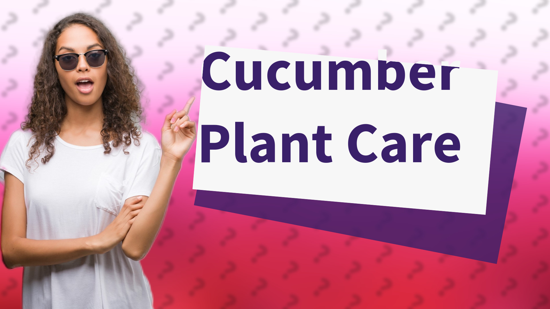 Cucumber Plant Care