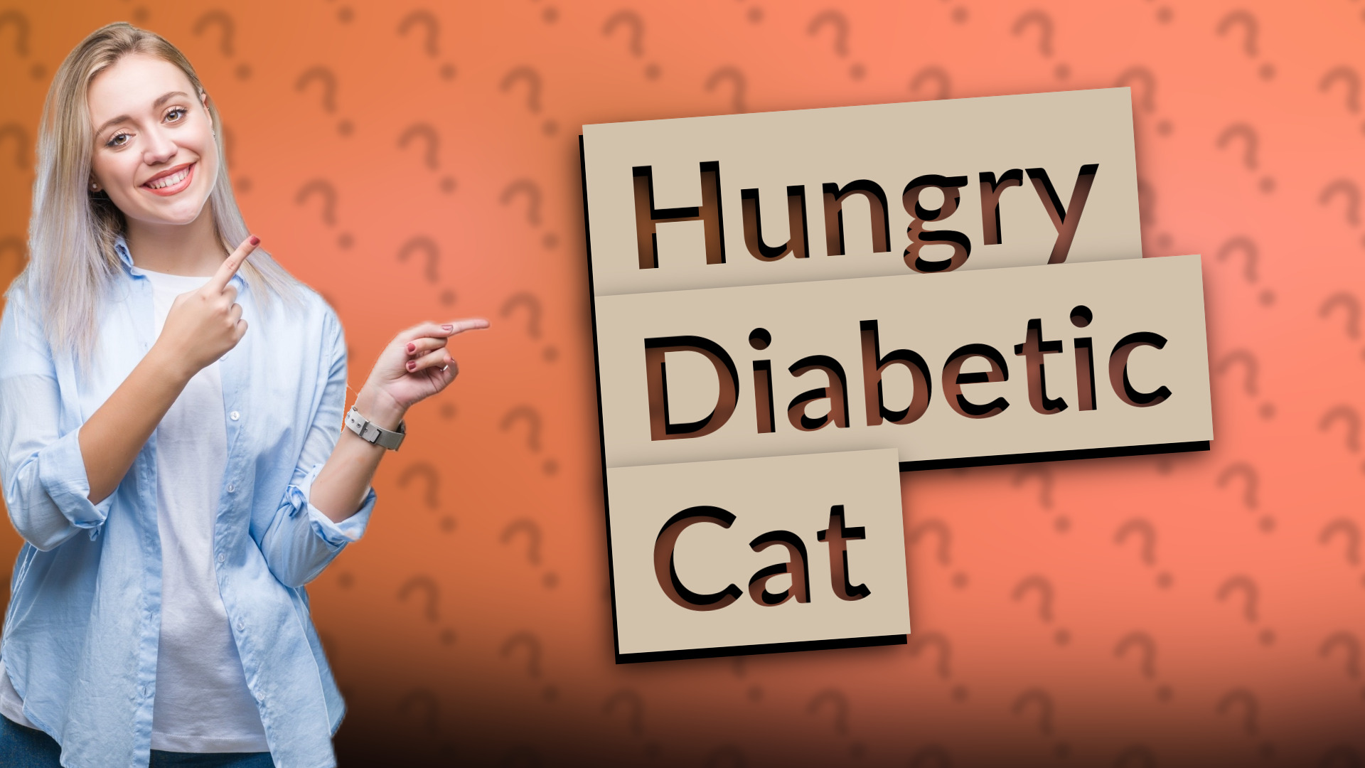 Hungry Diabetic Cat