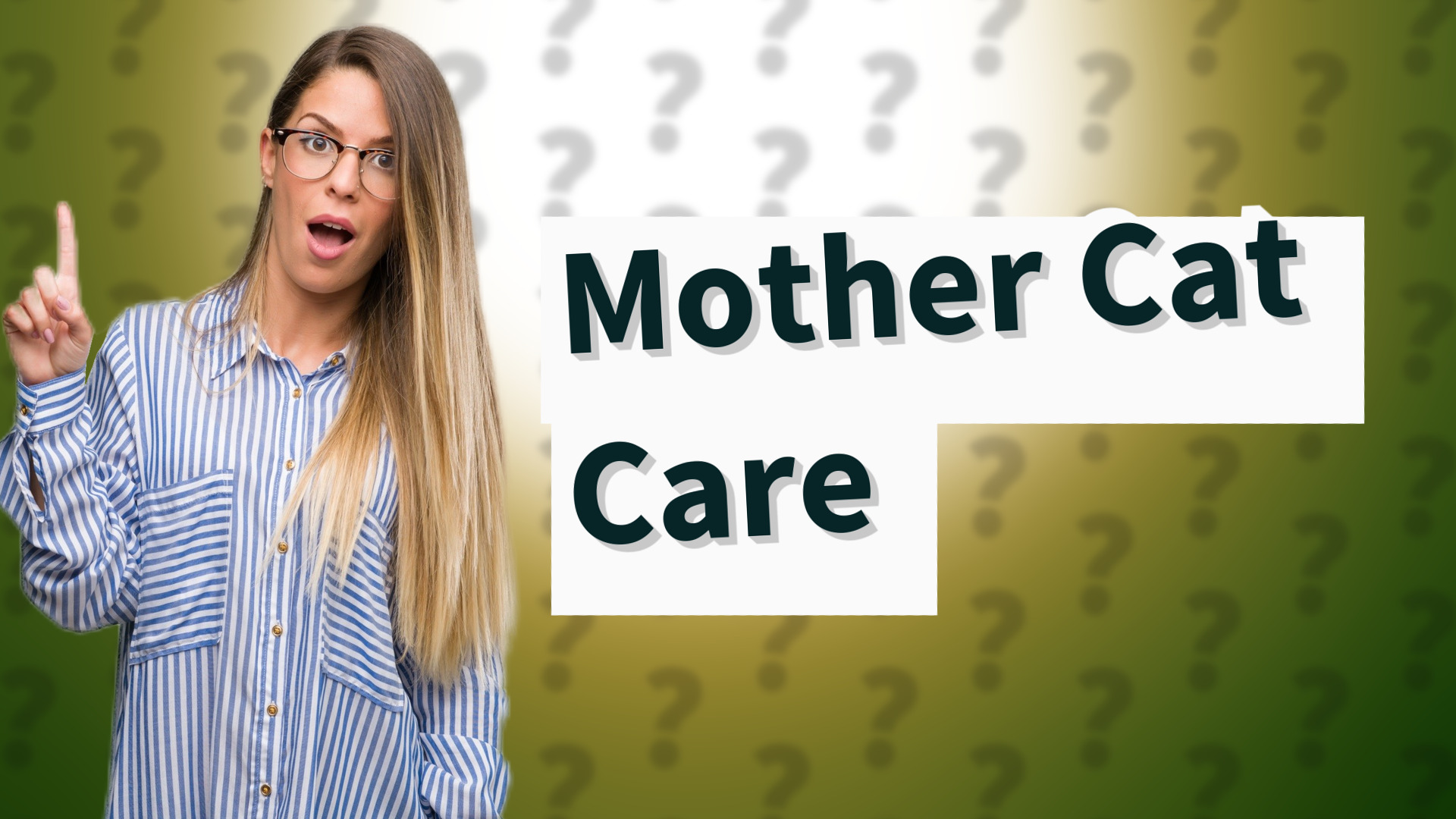 Mother Cat Care