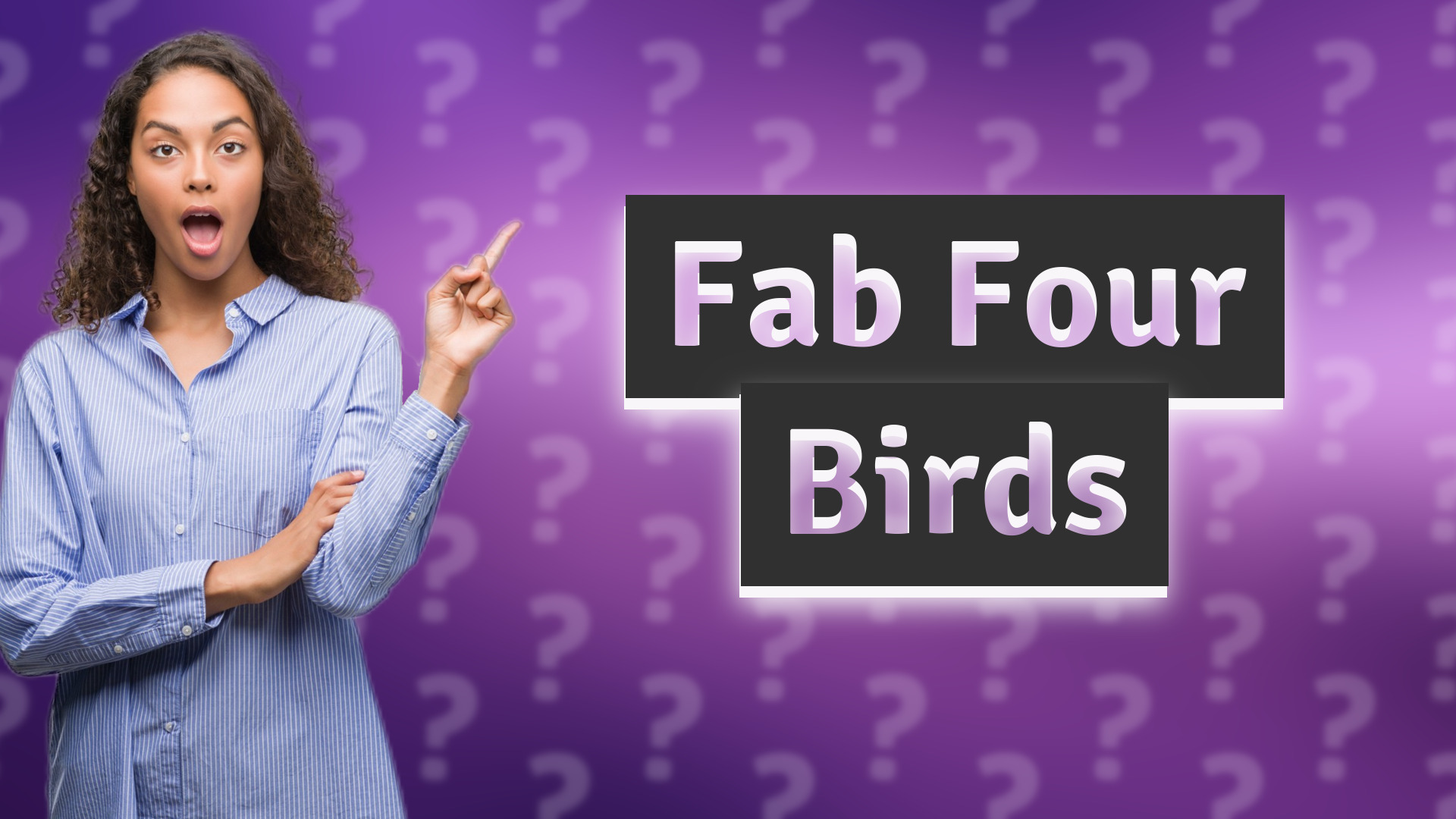 Fab Four Birds