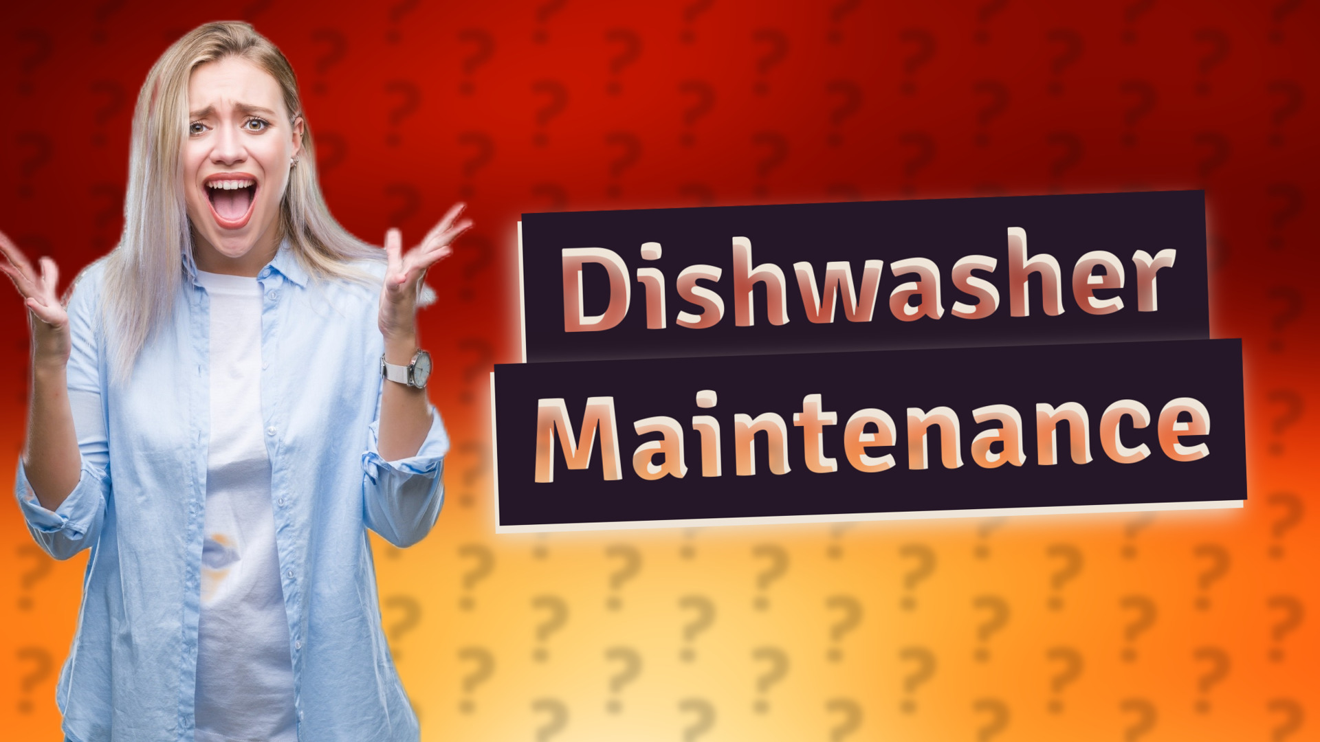 Dishwasher Maintenance