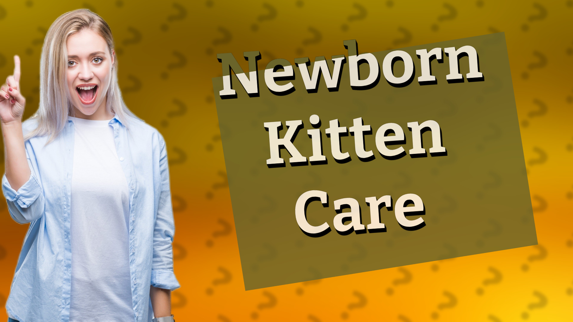 Newborn Kitten Care