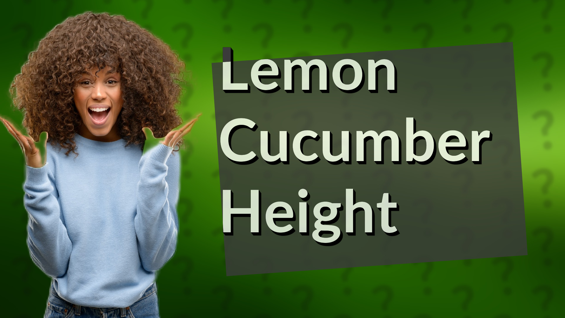 Lemon Cucumber Height