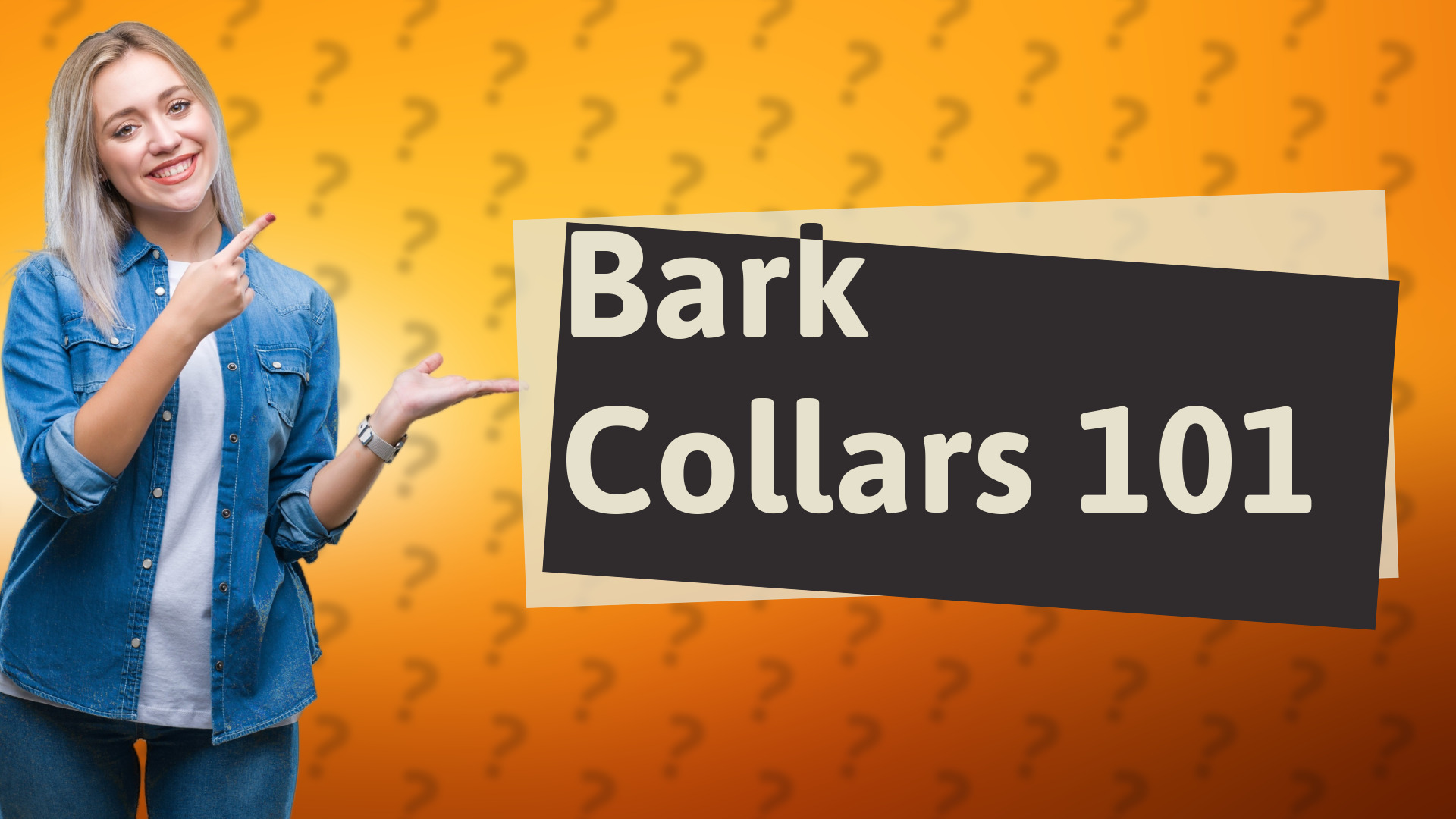 Bark Collars 101
