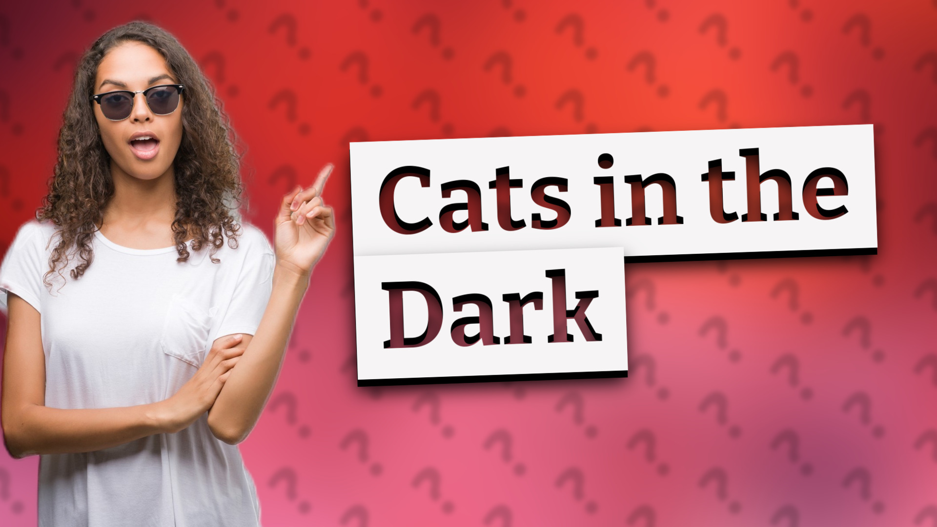 Cats in the Dark