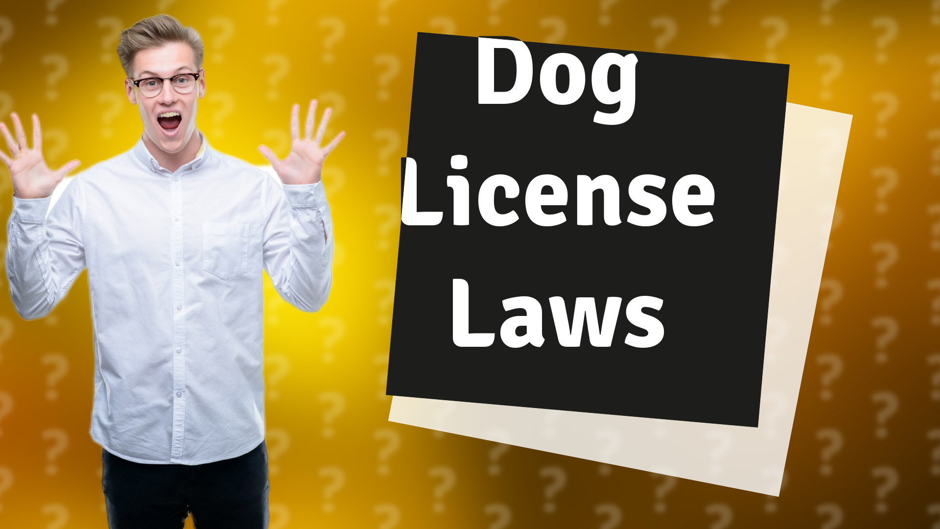 Dog License Laws