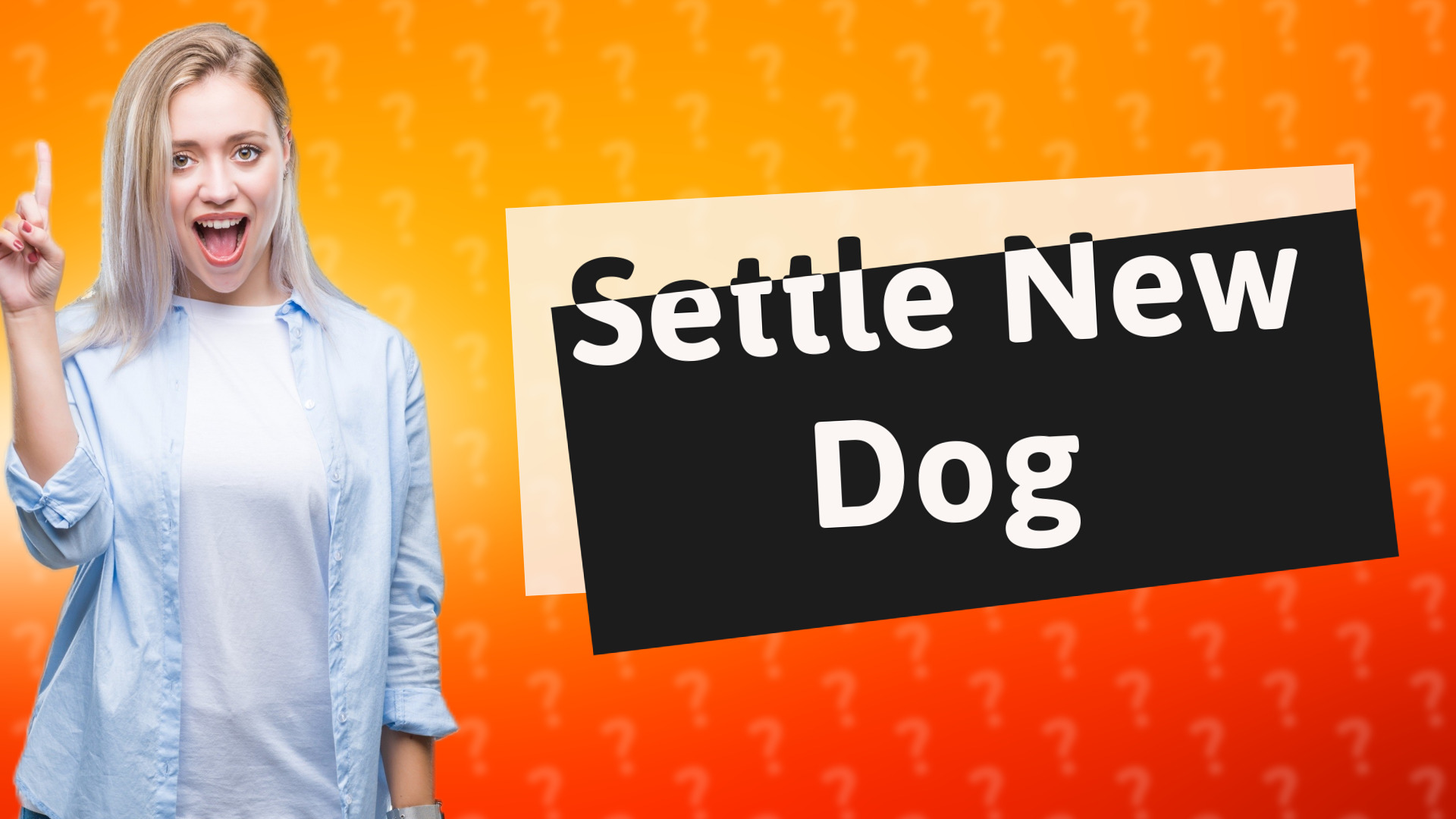 Settle New Dog