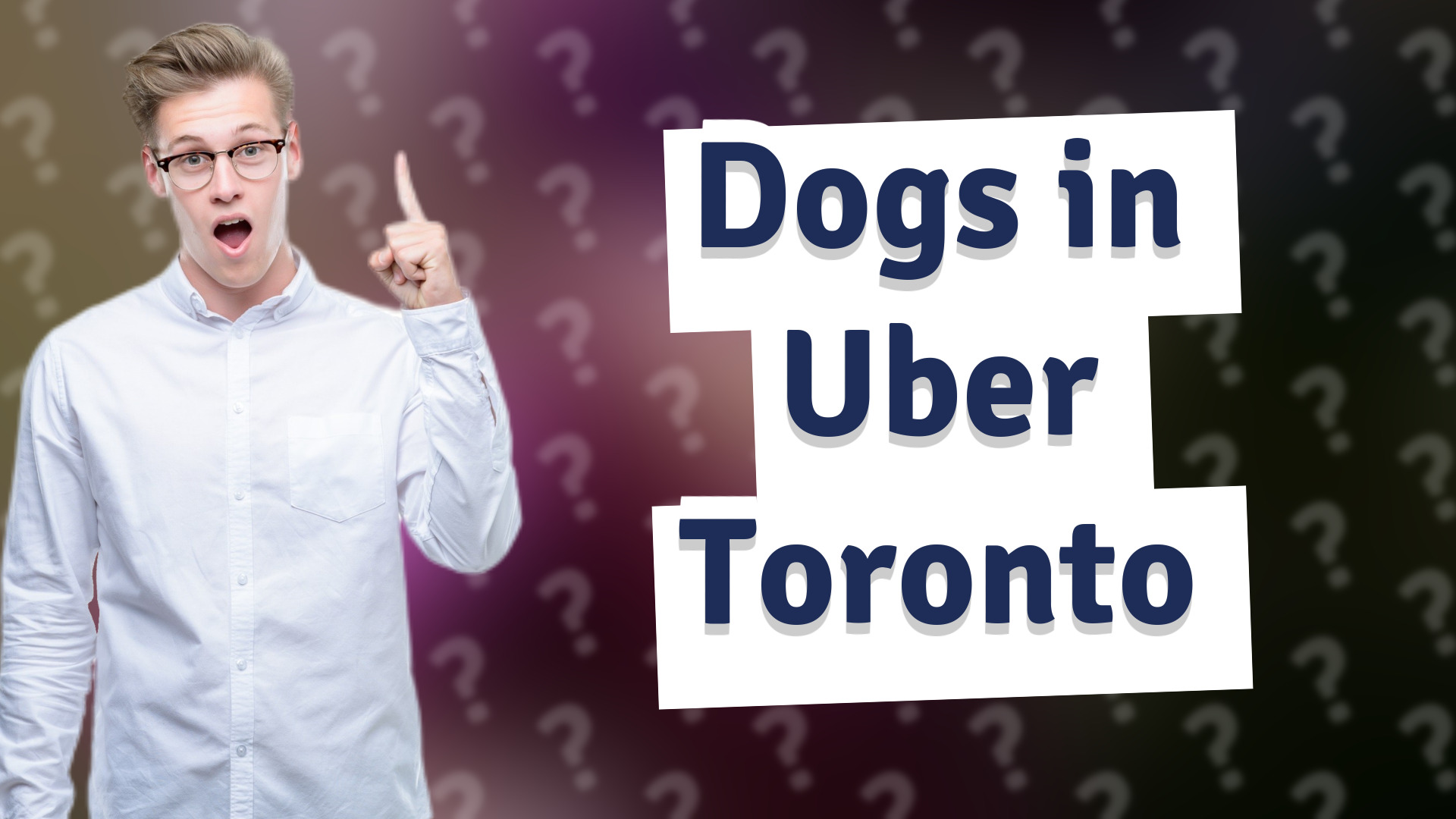 Dogs in Uber Toronto