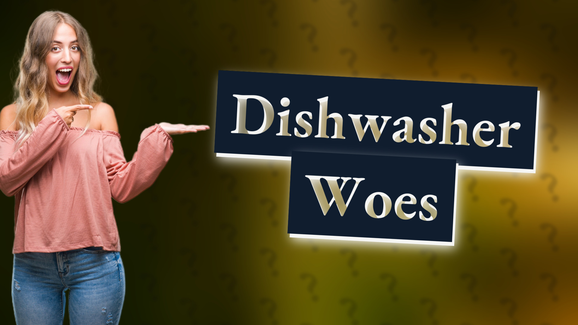 Dishwasher Woes