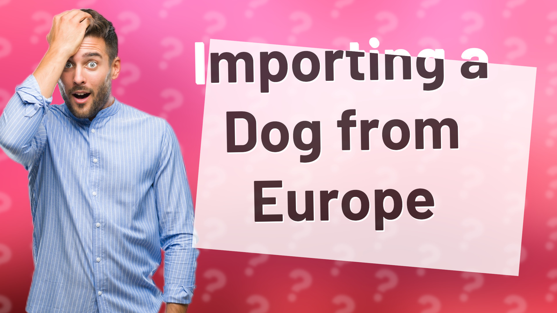 Importing a Dog from Europe
