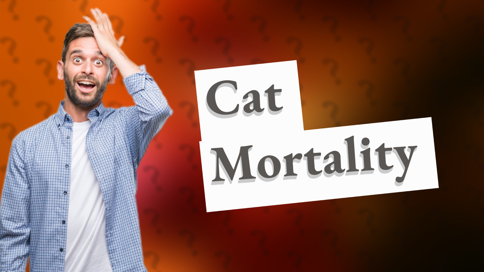 Cat Mortality