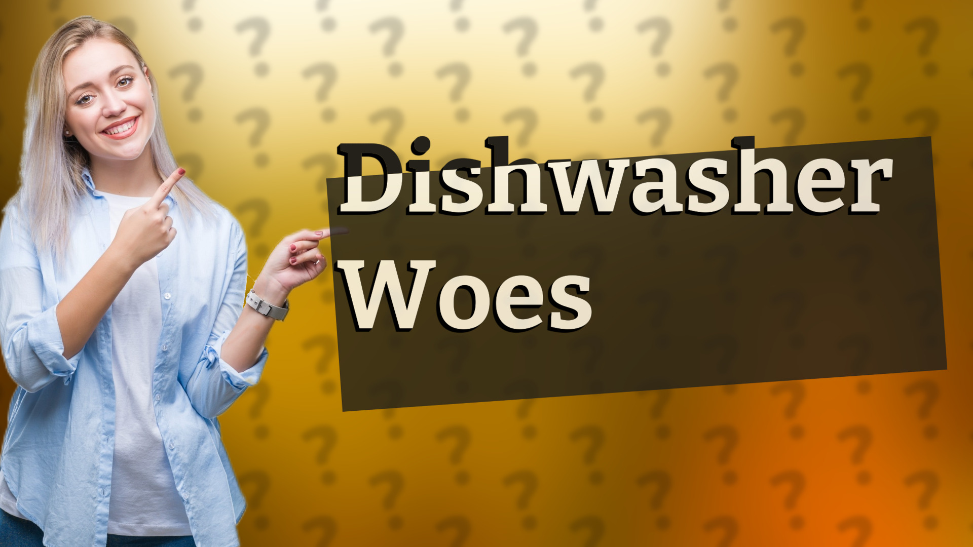 Dishwasher Woes