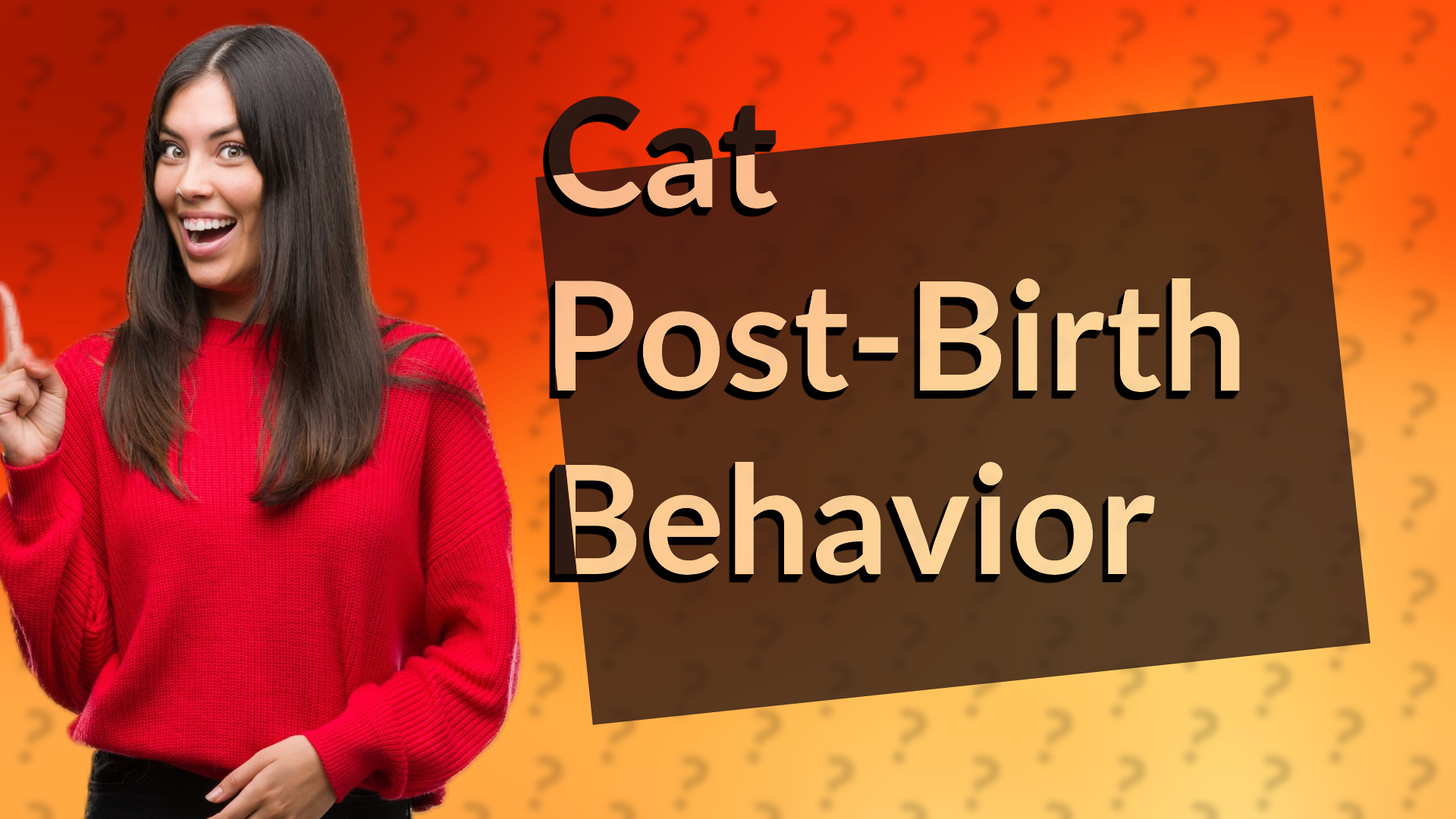 Cat Post-Birth Behavior