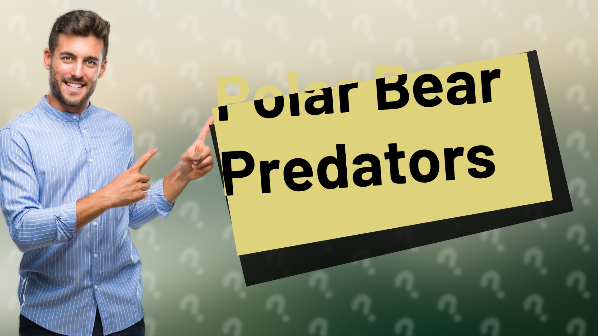Polar Bear Predators