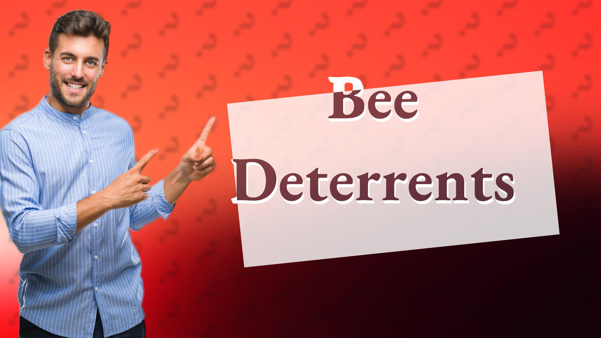 Bee Deterrents