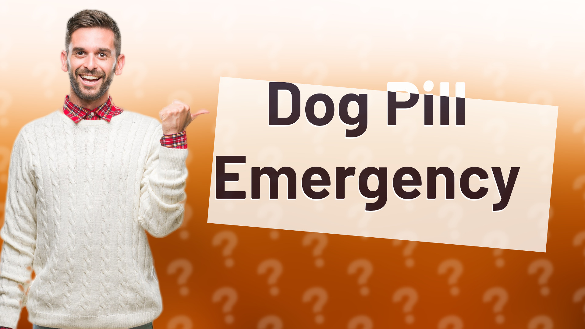 Dog Pill Emergency