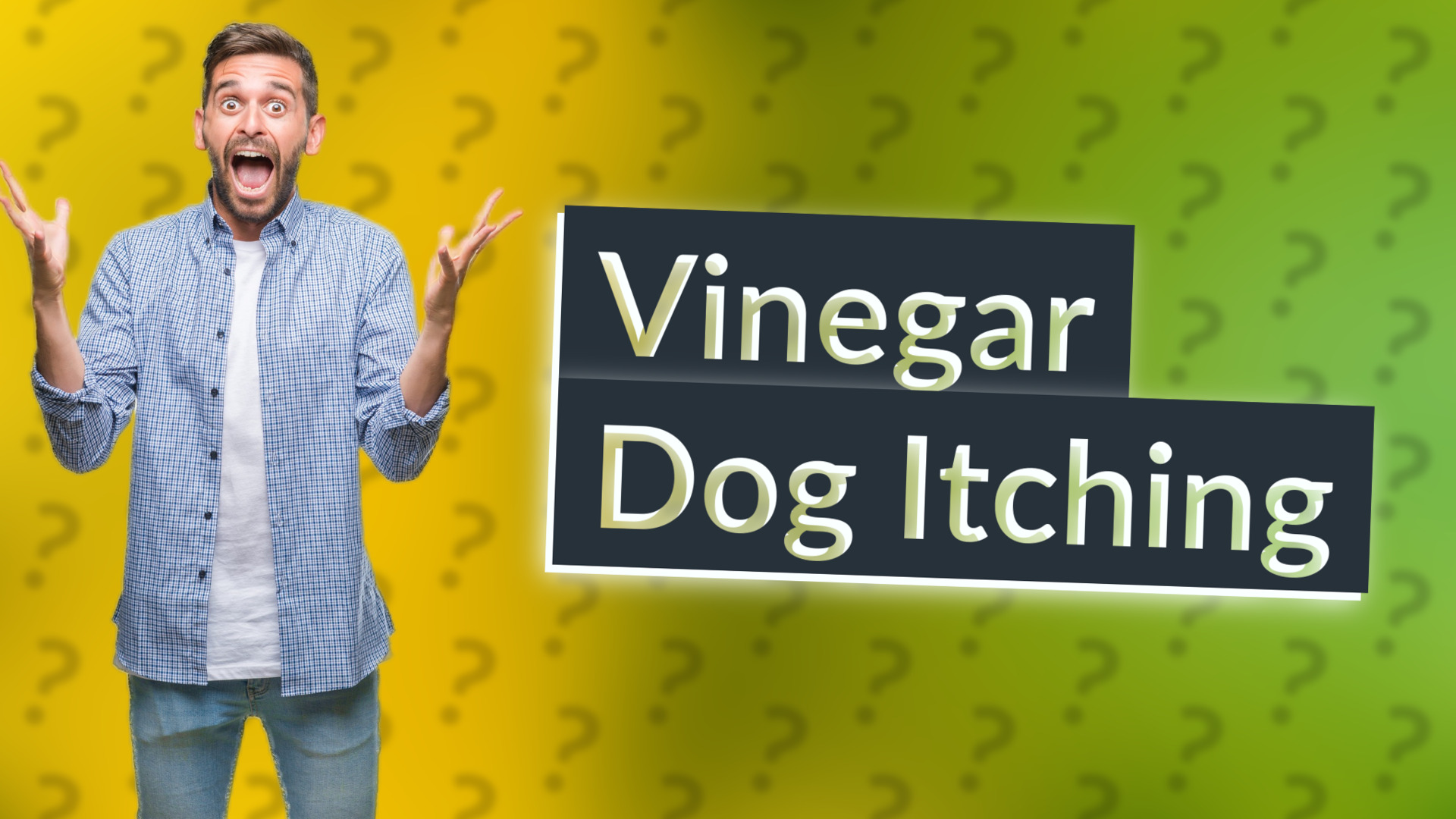 Vinegar Dog Itching