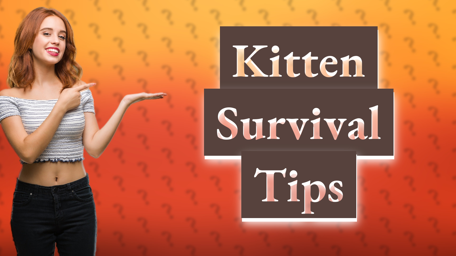 Kitten Survival Tips