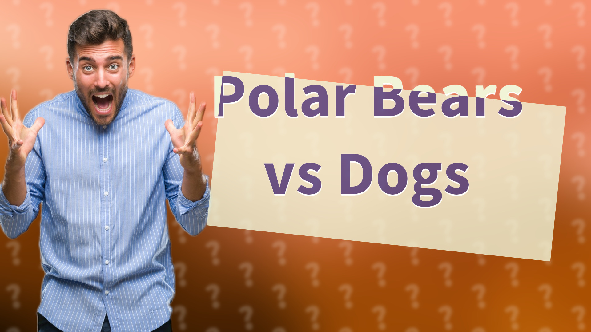 Polar Bears vs Dogs
