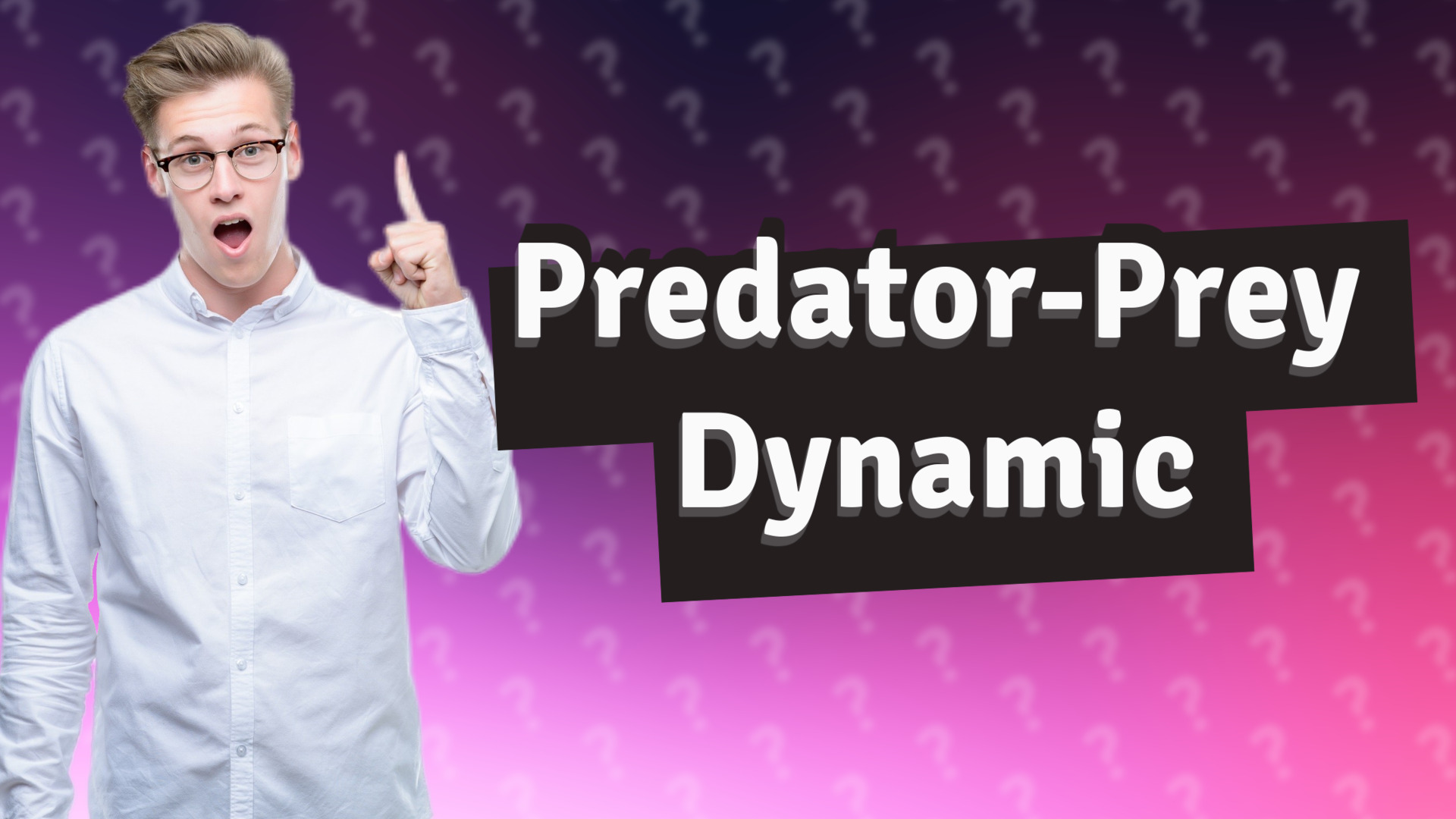 Predator-Prey Dynamic