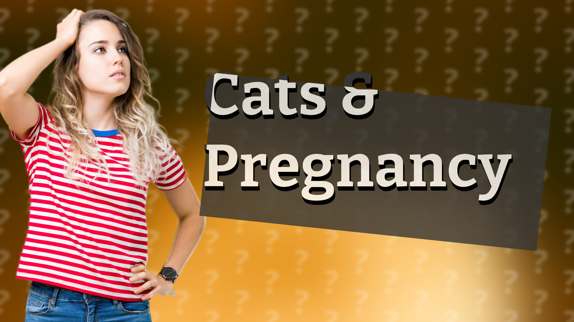 Cats & Pregnancy