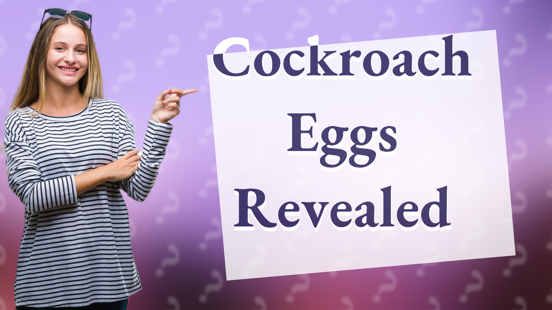 Cockroach Eggs Revealed