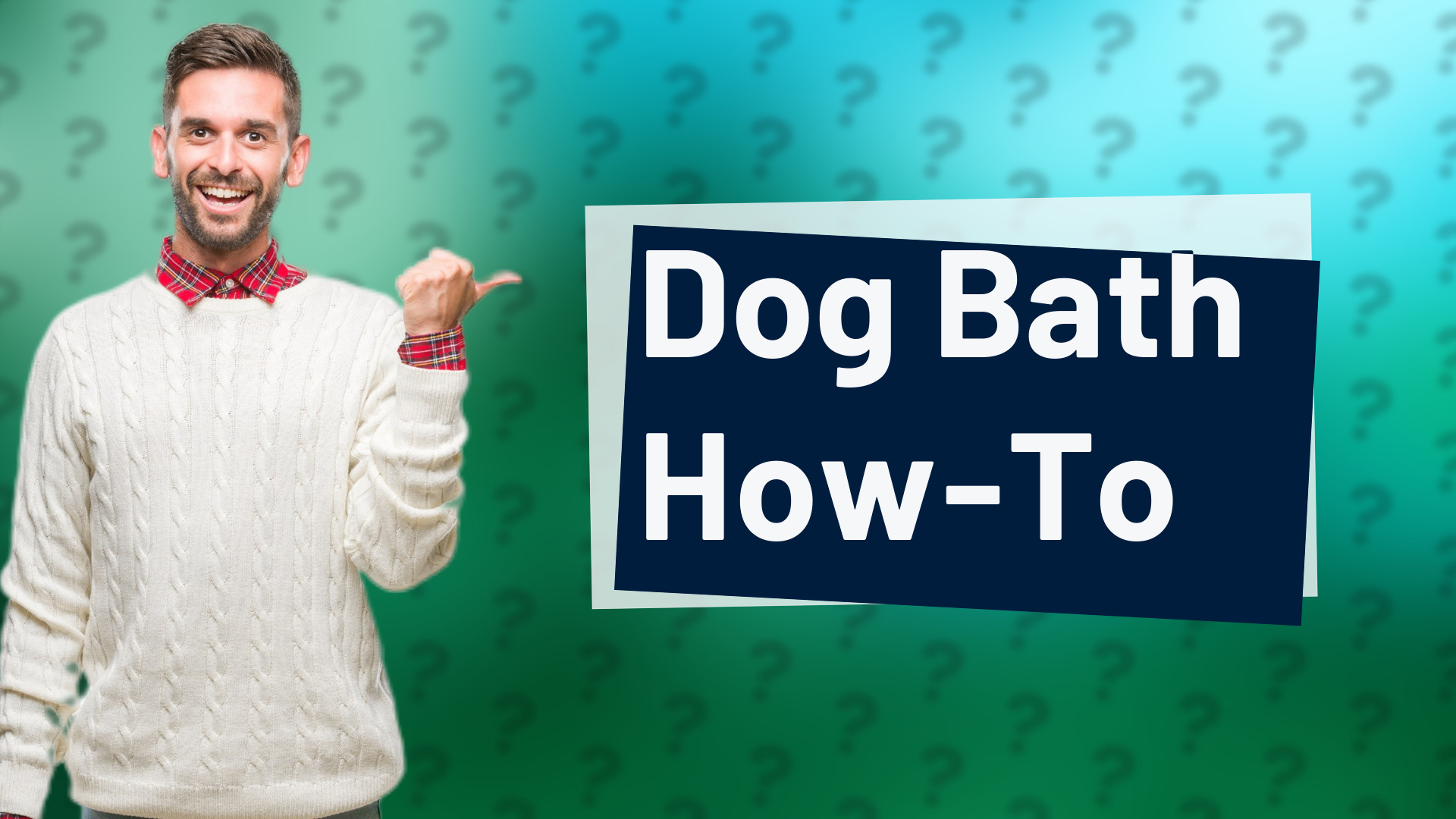 Dog Bath How-To