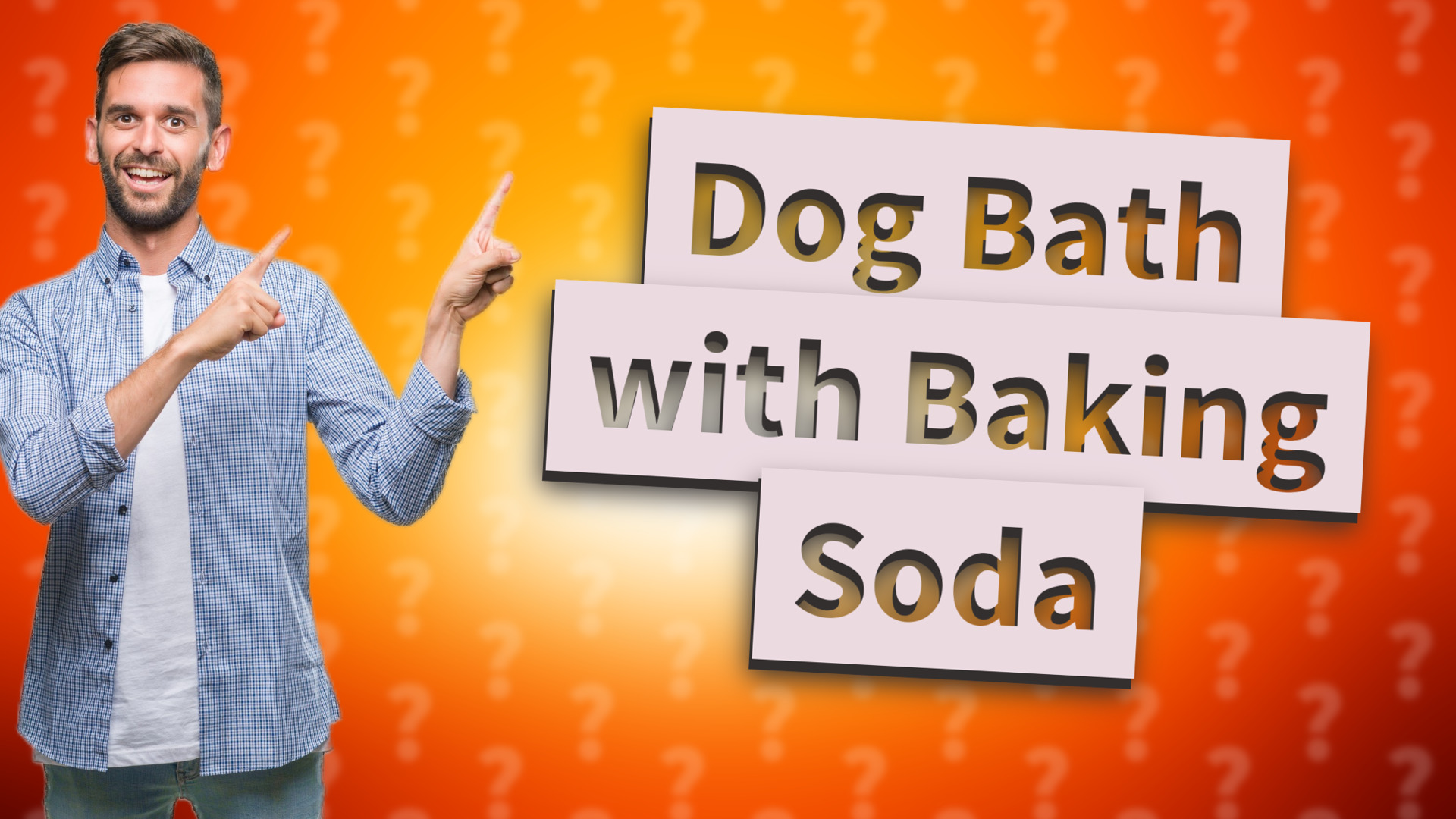 Dog Bath with Baking Soda