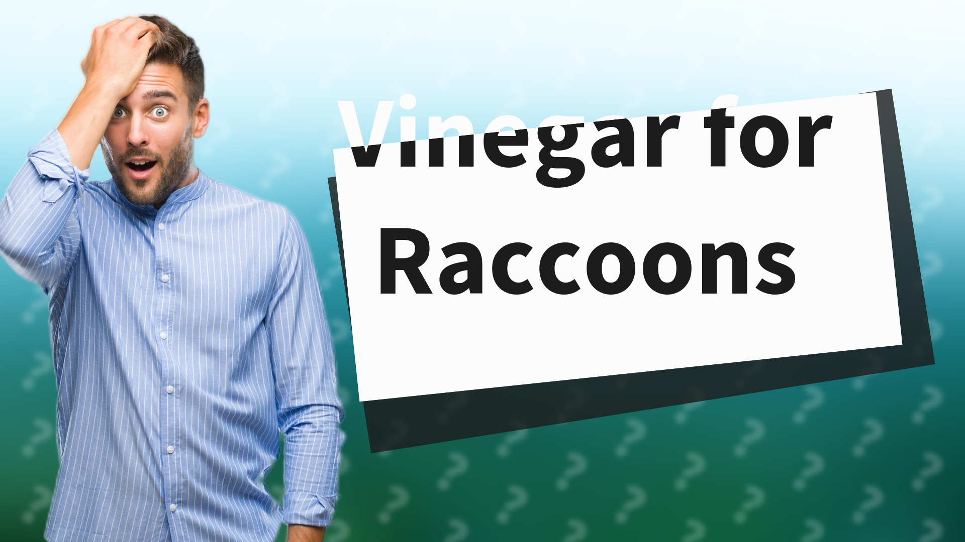 Vinegar for Raccoons