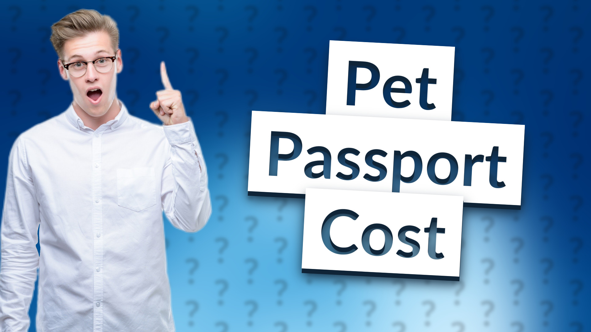 Pet Passport Cost
