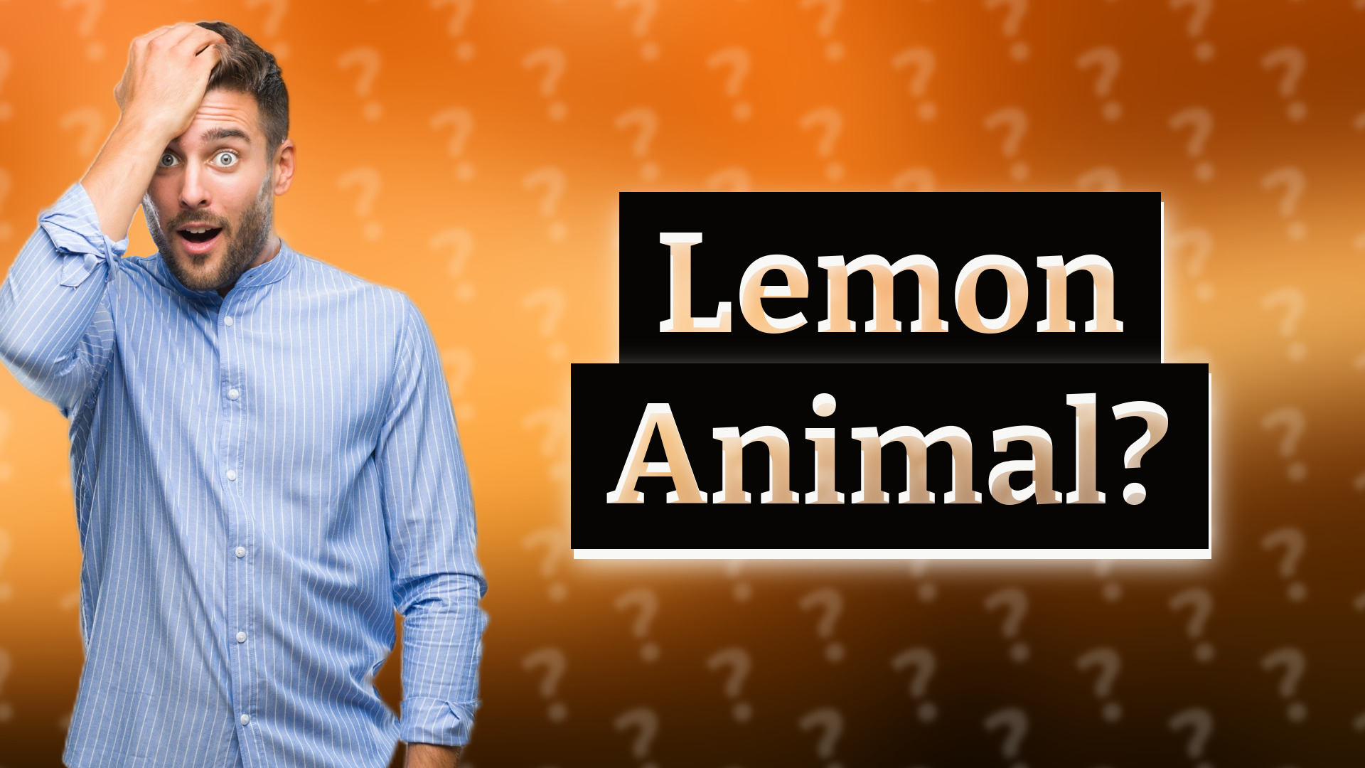 Lemon Animal?