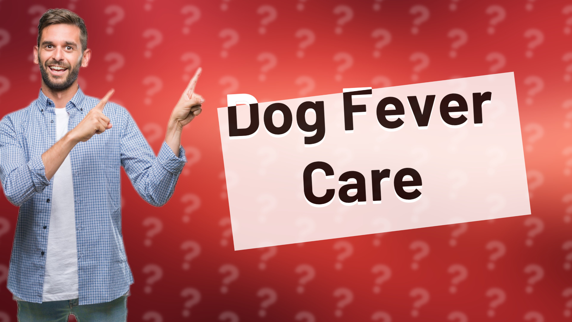 Dog Fever Care
