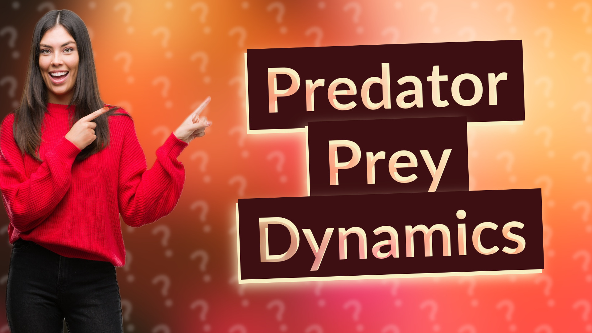 Predator Prey Dynamics